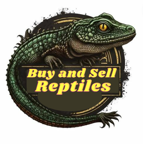Buy And Sell Reptiles.com